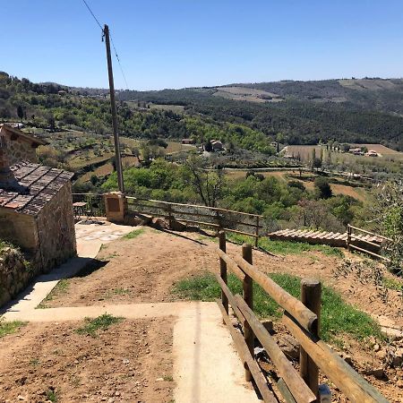 Podere Soccorso Casa Vigneto Montalcino Luaran gambar