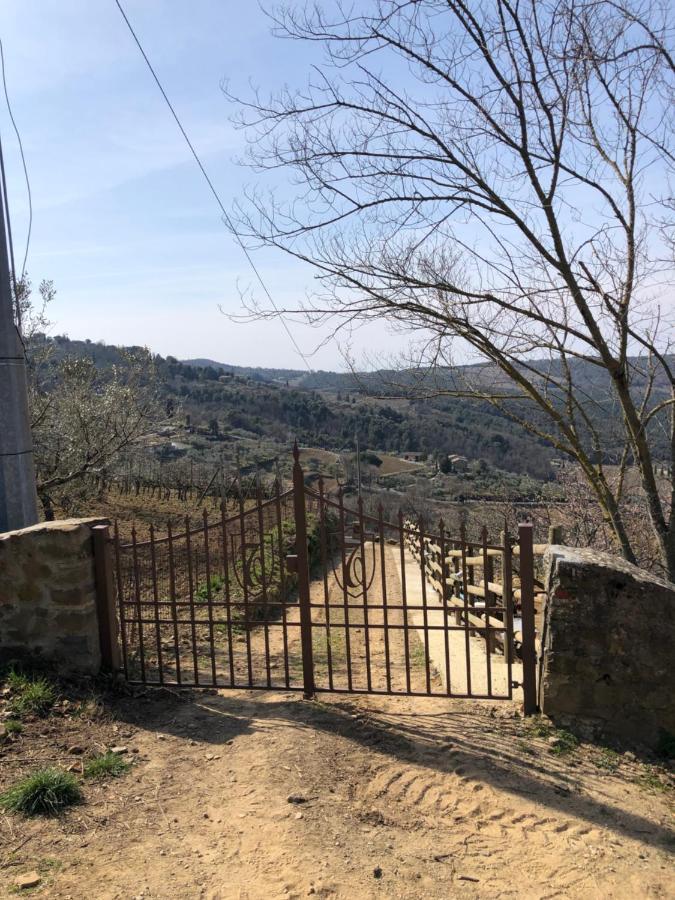 Podere Soccorso Casa Vigneto Montalcino Luaran gambar