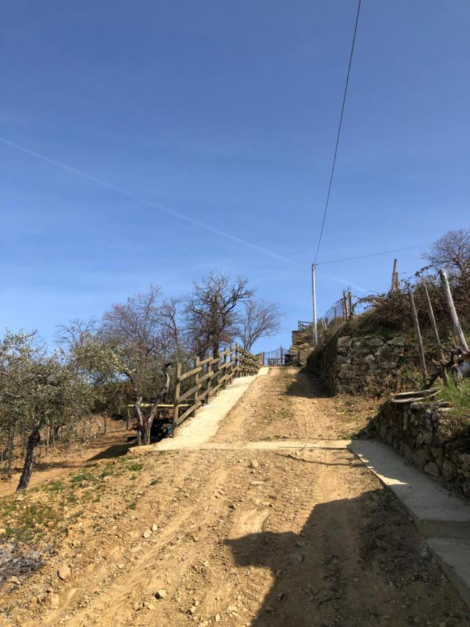 Podere Soccorso Casa Vigneto Montalcino Luaran gambar