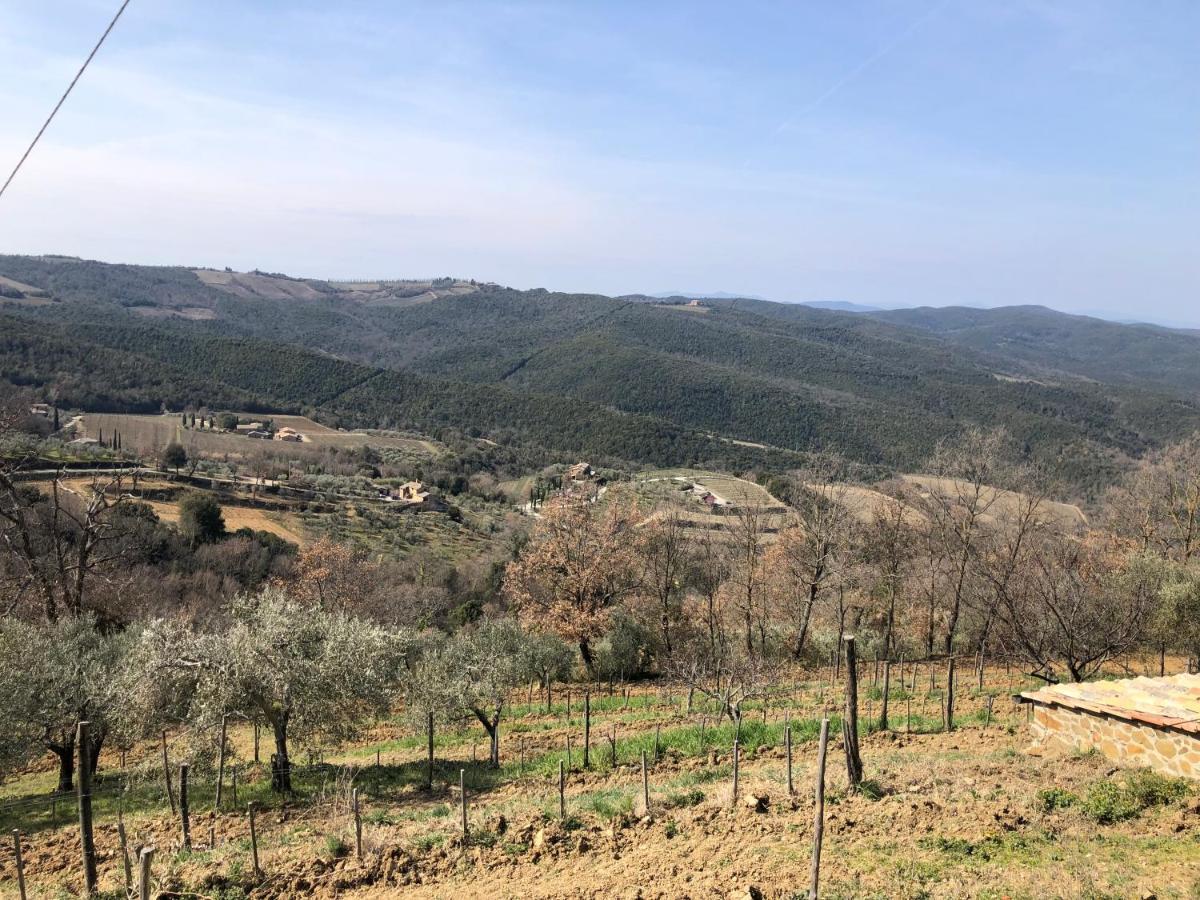 Podere Soccorso Casa Vigneto Montalcino Luaran gambar