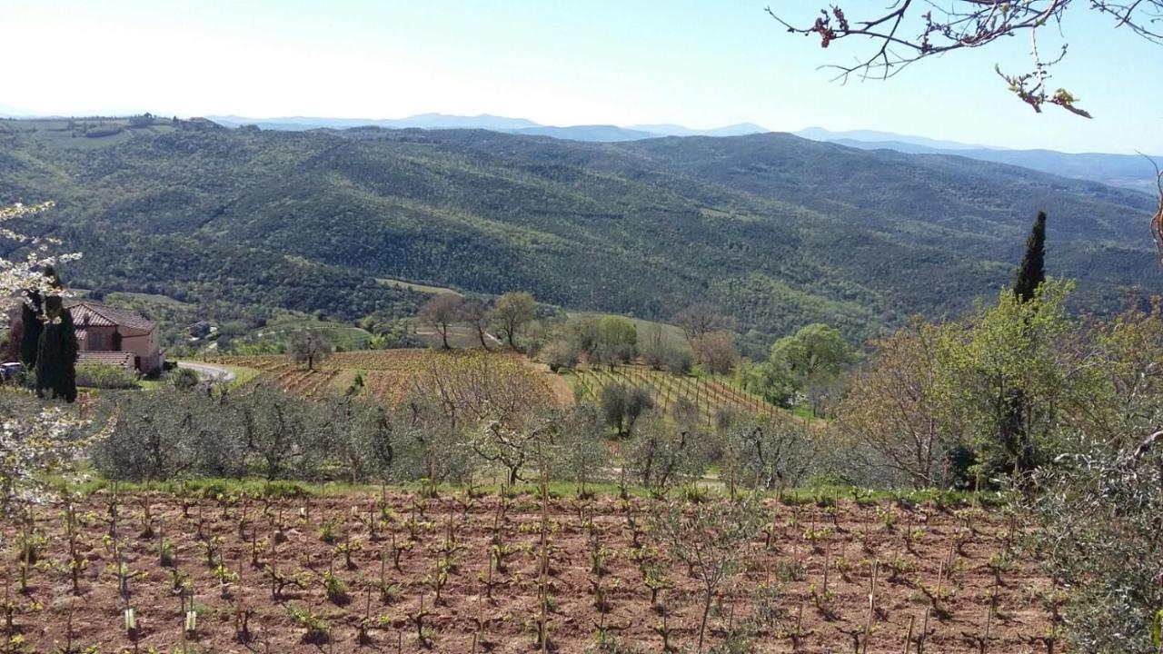 Podere Soccorso Casa Vigneto Montalcino Luaran gambar
