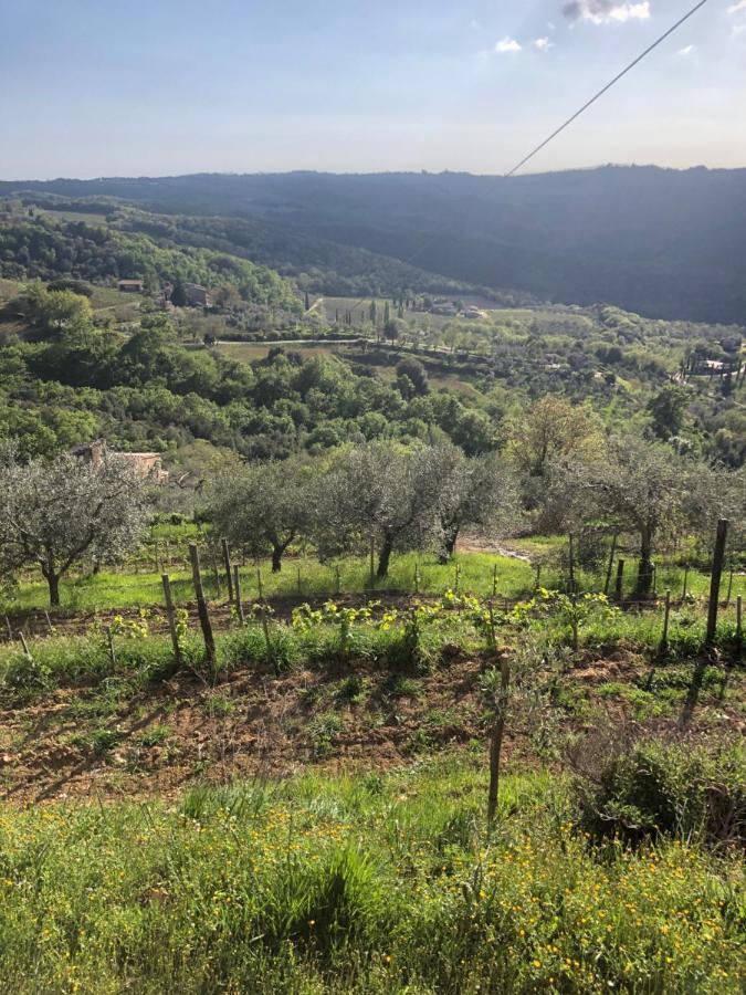 Podere Soccorso Casa Vigneto Montalcino Luaran gambar